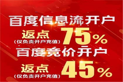 百度推广渠道拓展，成功案例分析