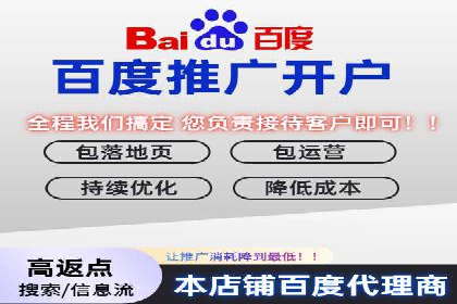 案例分析：SEM托管服务助力电商销量倍增